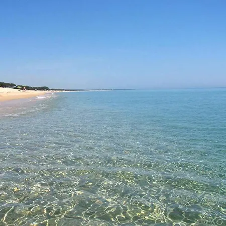Welcome To A Paradise Called Sardegna 別荘